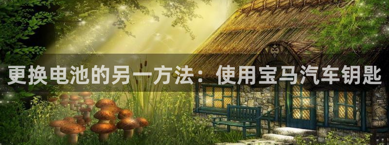 优发国际的网站是