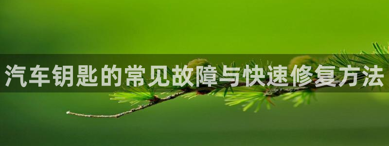 优发国际平台u8是什么：汽车钥匙的常见故障与快速修复方法
