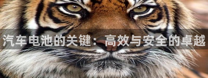 优发国际登录首页官网