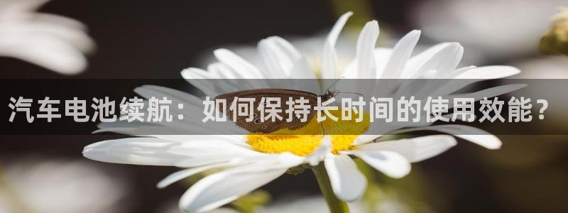 优发国际app