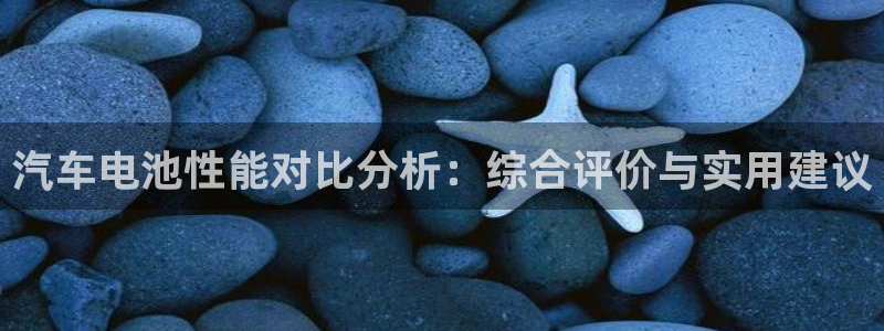 优发国际不出款了吗：汽车电池性能对比分析：综合评价与实用建议