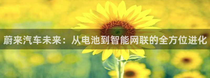 优发国际手机app下载安装官网