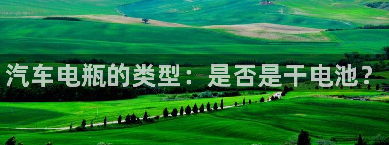 优发国际官网手机版下载安卓：汽车电瓶的类型：是否是干电池？