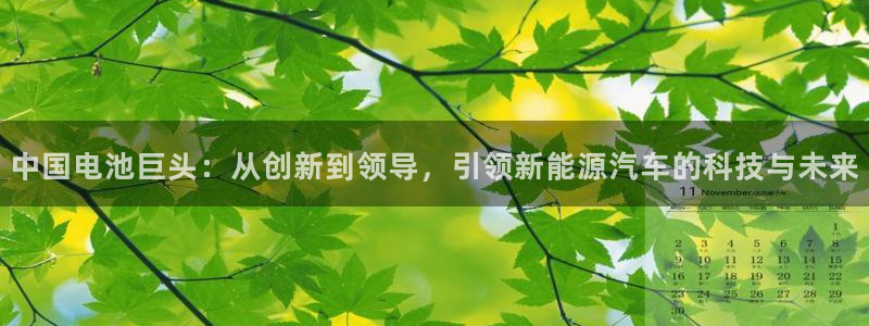优发国际安卓版下载安装教程：中国电池巨头：从创新到领导，引领新能源汽车的科技与未来