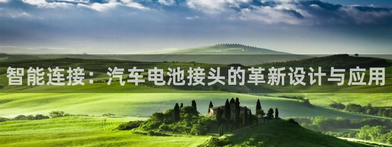 优发娱乐pc版官网：智能连接：汽车电池接头的革新设计与应用