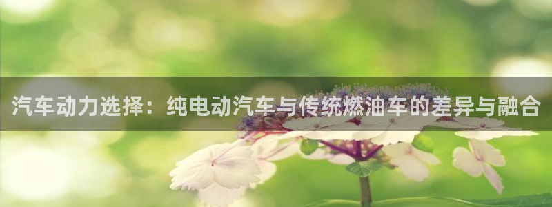 优发国际可以玩吗：汽车动力选择：纯电动汽车与传统燃油车的差异与融合
