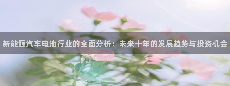 优发国际线上娱官网：新能源汽车电池行业的全面分析：未来十年的发展趋势与投资机会