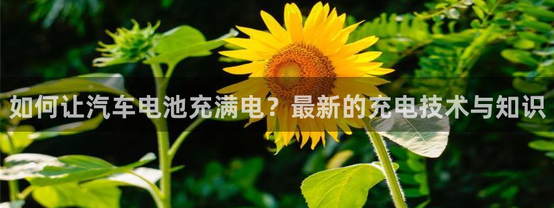 优发国际平台u8是什么软件