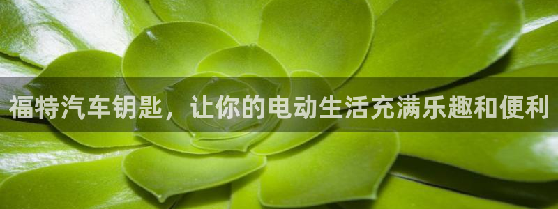 优发国际网站官网