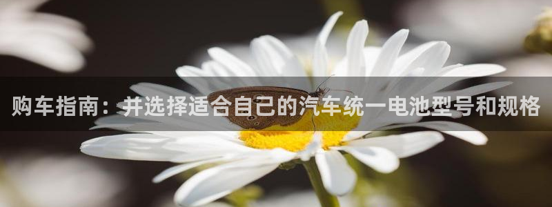 优发国际免费游戏下载