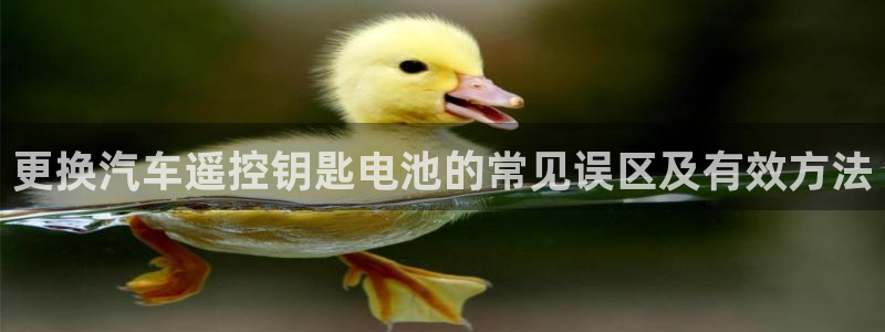 优发国际登录a：更换汽车遥控钥匙电池的常见误区及有效方法