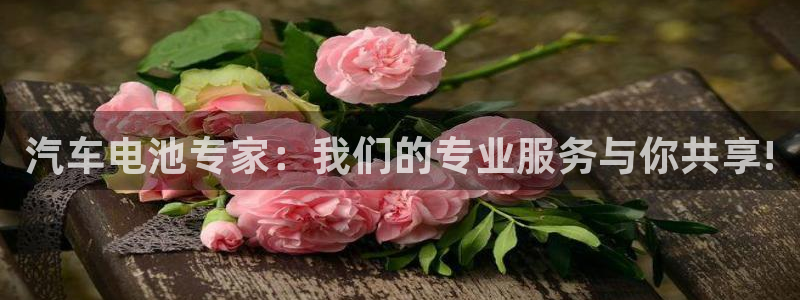 优发国际软件下载官网：汽车电池专家：我们的专业服务与你共享!