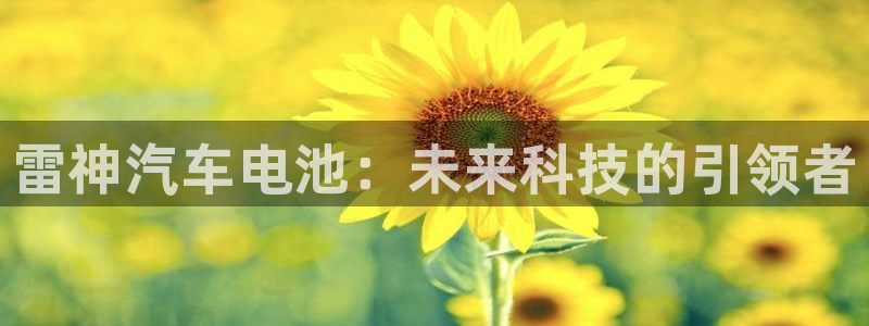 优发国际是大平台吗是真的吗：雷神汽车电池：未来科技的引领者