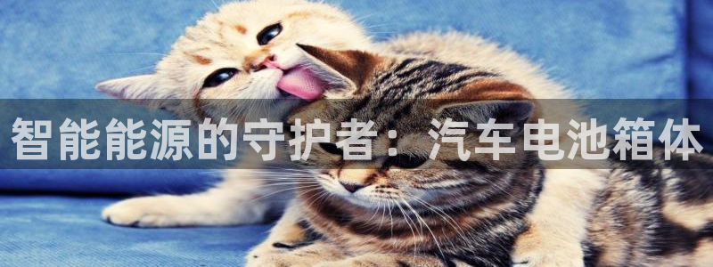 优发国际游戏官方网站入口：智能能源的守护者：汽车电池箱体