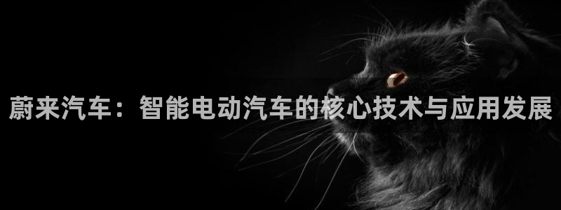 优发国际网站：蔚来汽车：智能电动汽车的核心技术与应用发展