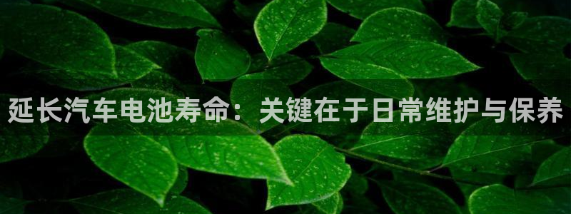 优发国际合并到哪里了最新消息