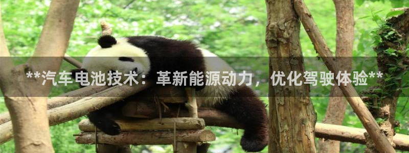 优发国际手机app下载安装苹果