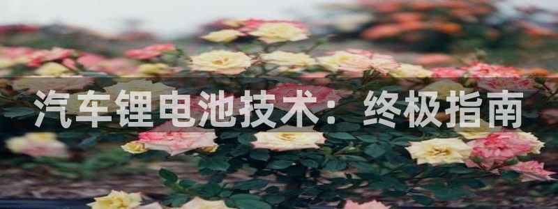 优发国际登录k8