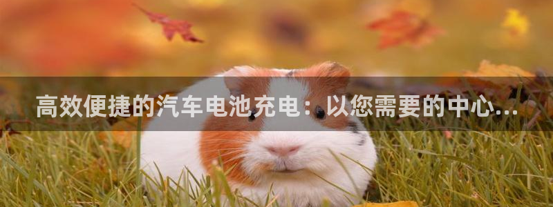 优发国际手机版网站官网