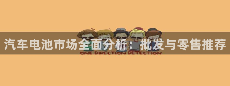 优发国际平台网站：汽车电池市场全面分析：批发与零售推荐