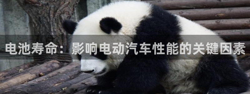 优发国际官网入口app下载苹果