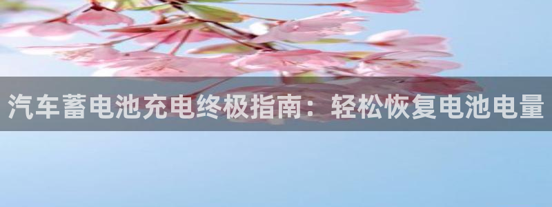 优发国际官方网手机版：汽车蓄电池充电终极指南：轻松恢复电池电量
